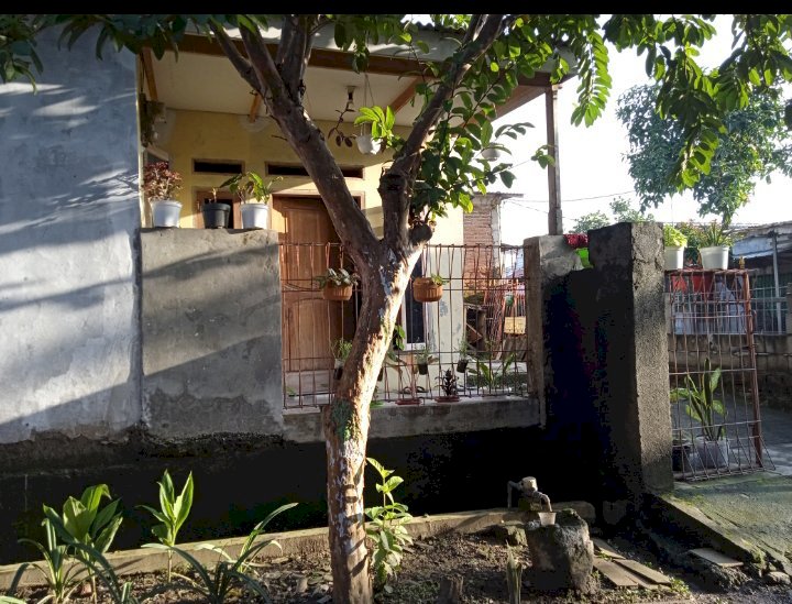 Jual rumah pribadi karena mau pulang kampung