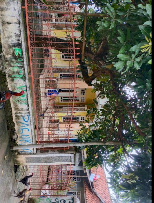 Di juall Rumah plus tanah