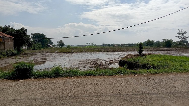 Jual Tanah Di Rancalame (Rancaoray) - Ciganitri Bojongsoang !