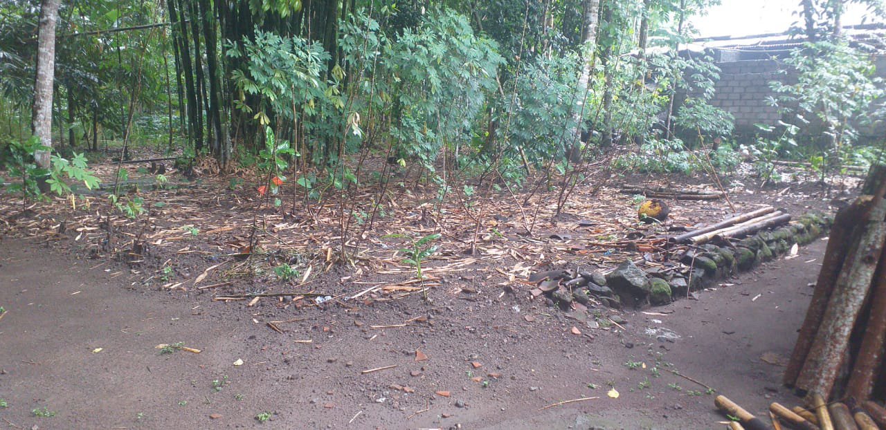 JUAL TANAH MURAH, NGEMPLAK SENENG KLATEN JAWATENGAH