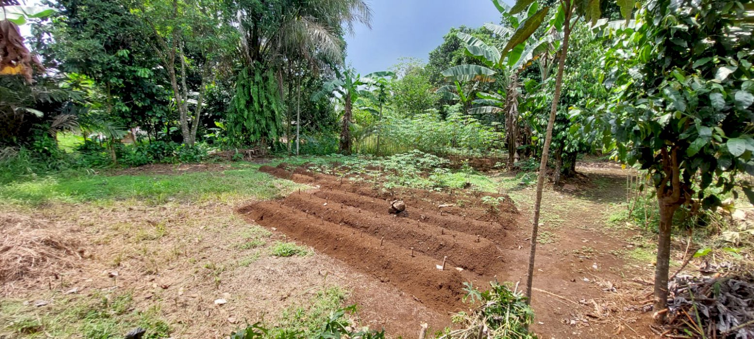 DI JUAL TANAH STRATEGIS, CIMANGGIS BOJONG GEDE BOGOR