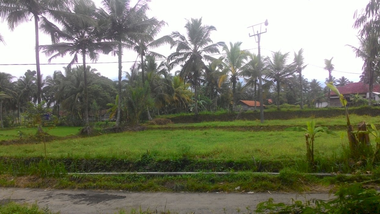 Tanah Pembangunan Pinggir Jalan Muka L .