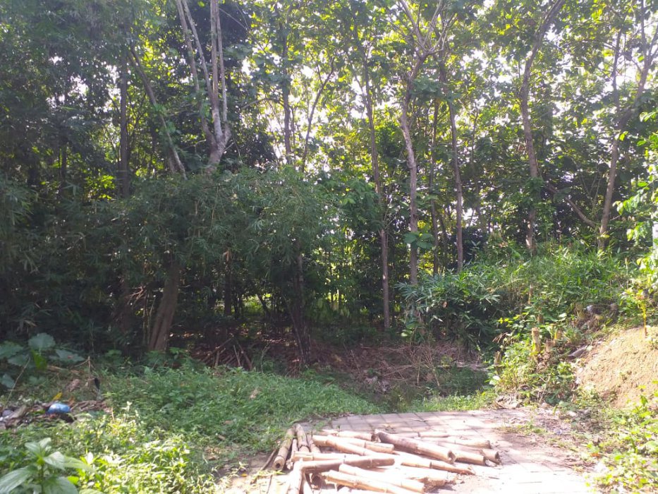 Land For Rent Kedungu Beach Tabanan