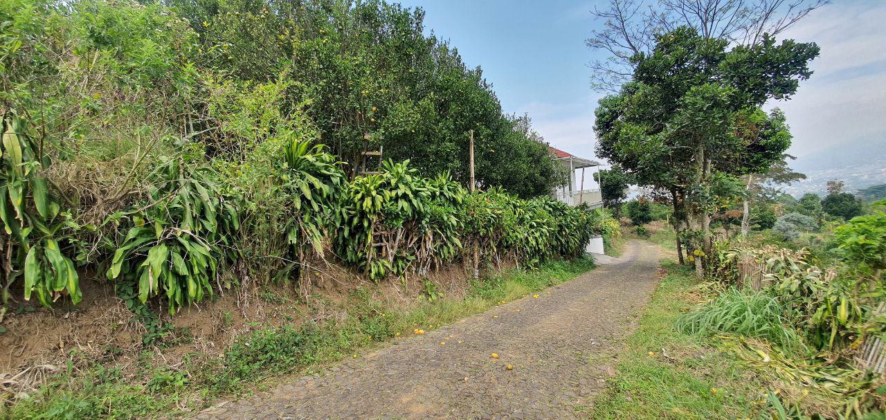 Tanah kebun jeruk murah berlokasi di dataran tinggi bumiaji kota batu