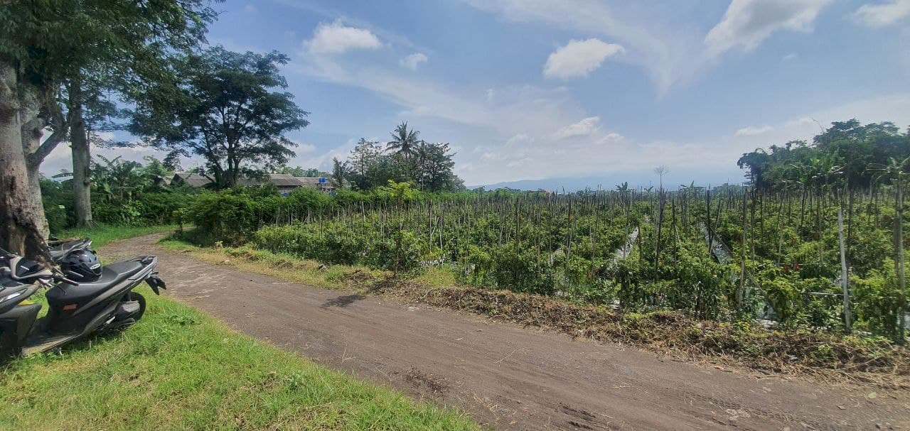 Lahan kebun strategis berlokasi di junrejo kota batu