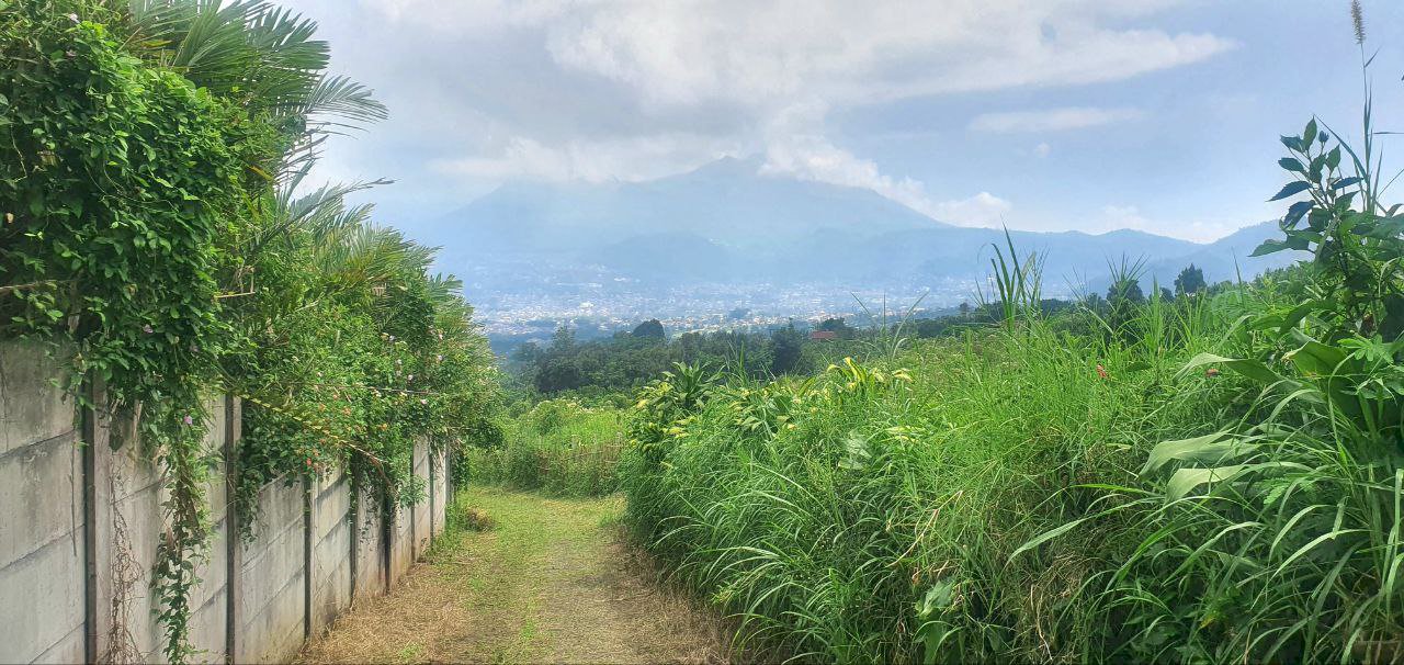 Tanah kebun jeruk produktif berlokasi di dataran tinggi bumiaji batu