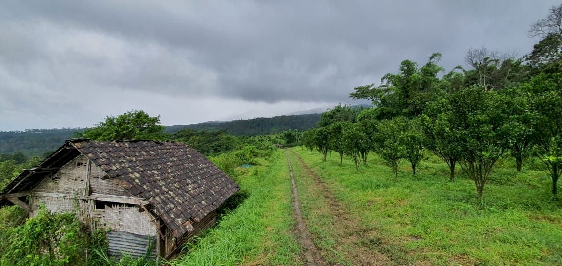 Tanah Murah Lokasi Istimewa Berada di lingkungan Padat Penduduk