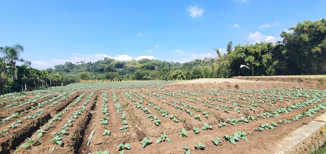 Tanah murah strategis berlokasi di junrejo kota batu