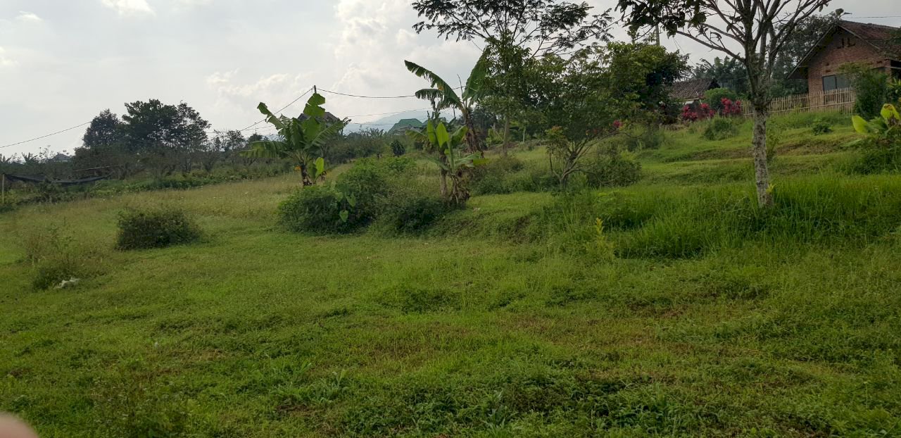 Tanah Murah Kota Batu Lokasi Lingkungan Padat Penduduk