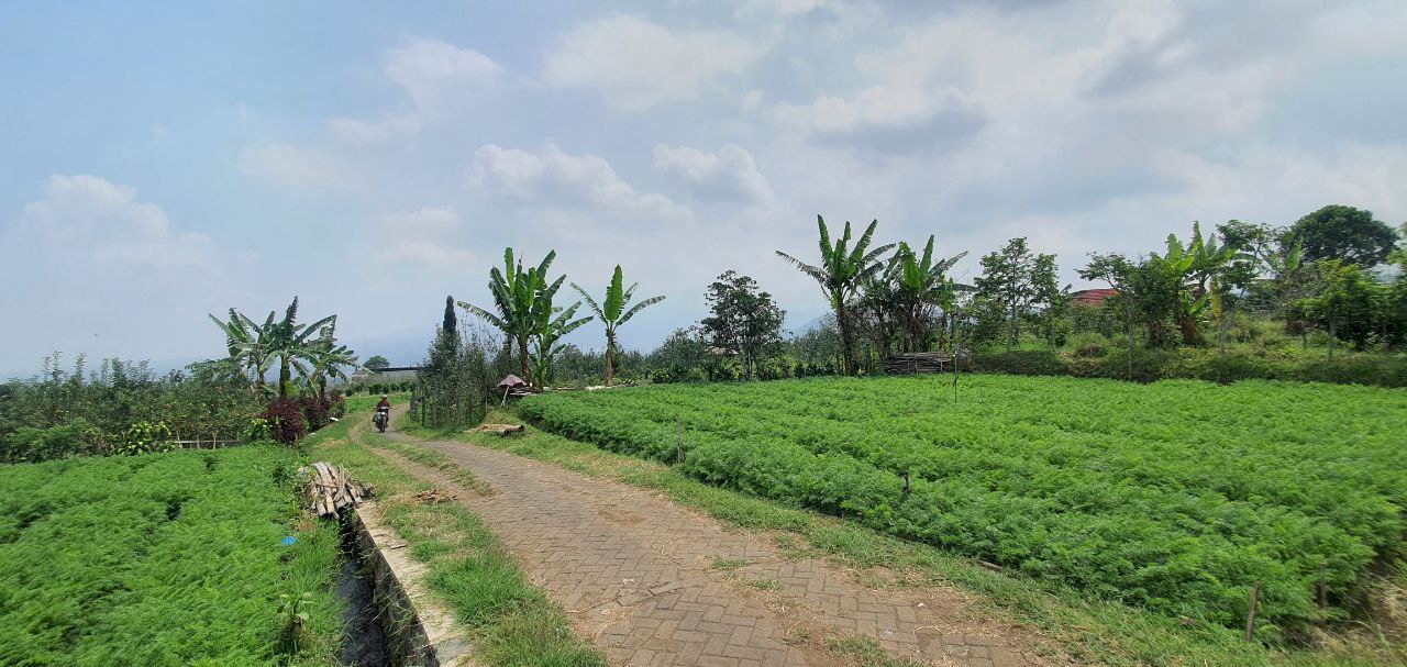 Tanah hunian villa kebun strategis di lingkungan selecta kota batu