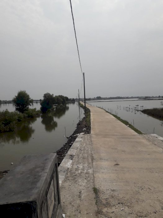 Di jual tanah Empang di tirtayasa