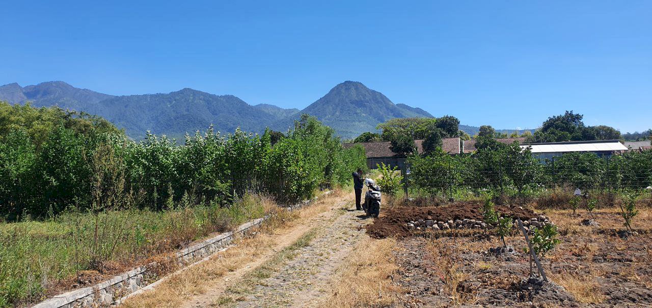 Tanah istimewa strategis berlokasi pusat wisata dan pemerintahan kota