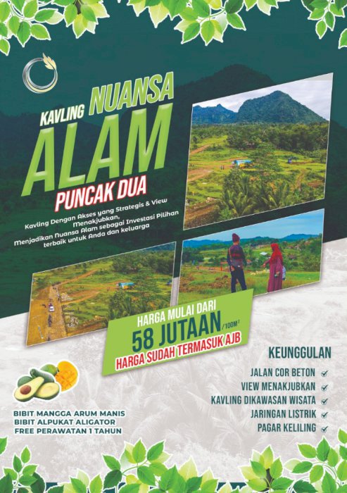 Best Seller Tanah Kavling Viral Di Jalur Puncak 2 Investasi 500 Ribuan