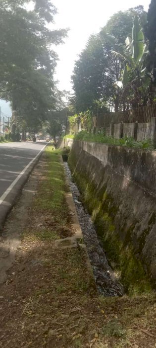 Di jual sebidang tanah dan rumah.