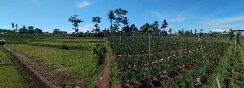 Dijual tanah 1988m2 harga 1,2jt /m2