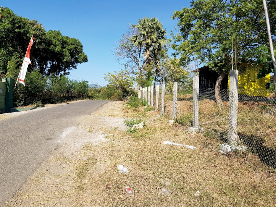 Lahan peternakan lengkap dgn kandang sapi permanen