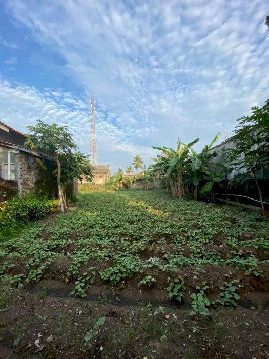 Jual Tanah Luas 600m2, Belakang Transmart Cilegon