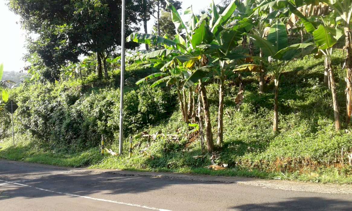 Tanah Miring Pinggir Jalan,  Sukabumi Selatan