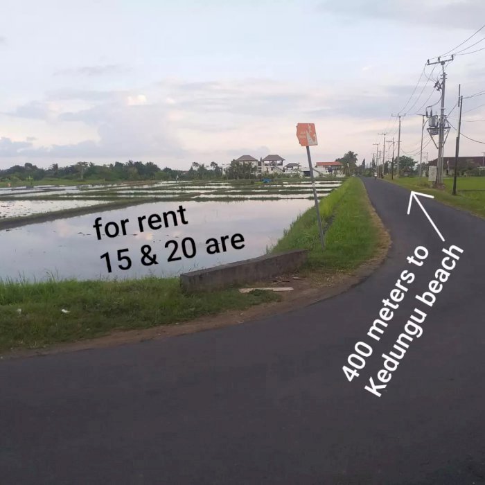LAND For RENT 400 meters from KEDUNGU Beach Tabanan BALI
