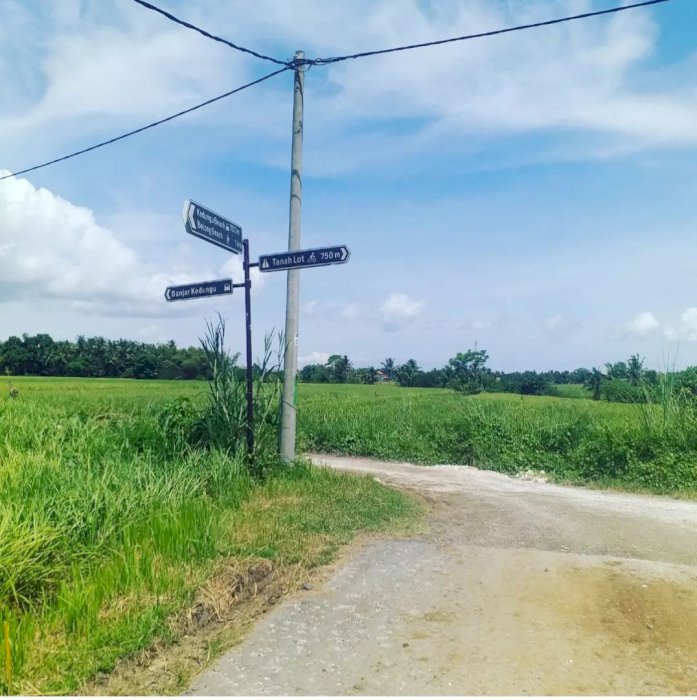 LAND FOR SALE in BEACH LOVE KEDUNGU BALI ( Yellow Zone )