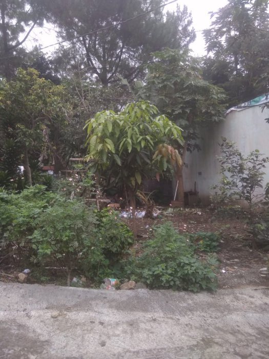 Jual Tanah daerah Lembang