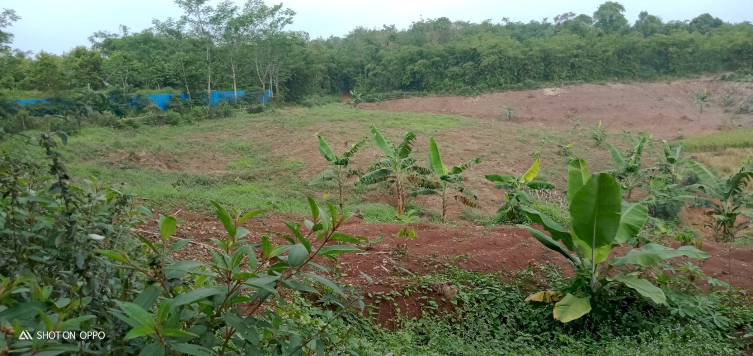 7300mÂ².SHM Tanah di Kec.Jasinga-Bogor