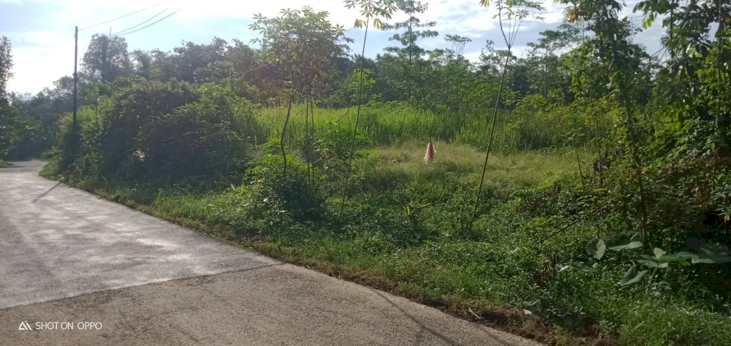 Tanah 3779mÂ².SHM di Kecamatan Jasinga-Bogor