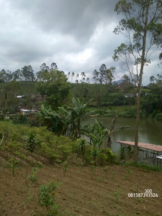 Jual Tanah 300 Tumbak Daerah Pangalengan Cileunca