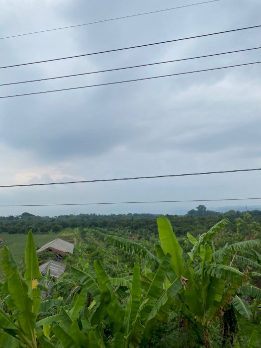 Tanah Darat/Kebun, Luas tanah 40000M2  Surat Tanah Sertifikat SHM.