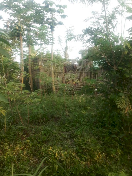 KAVLING Perumahan Putraco Cikawao type 21