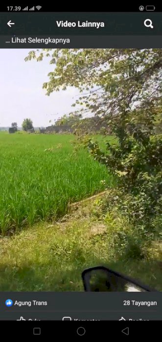 Jual tanah SHM 1 hektar(9600mÂ²)