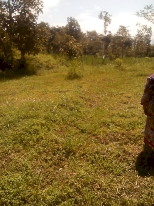 JUAL CEPAT TANAH DI BAWAH HARGA PASAR DI KOTA BATU