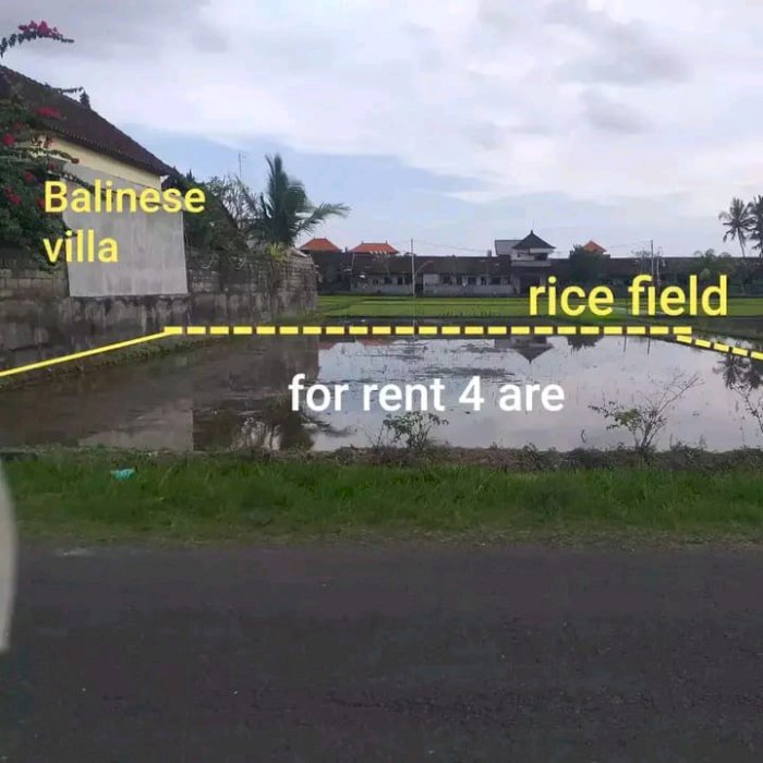 LAND For RENT in Werkudara Street Munggu Bali