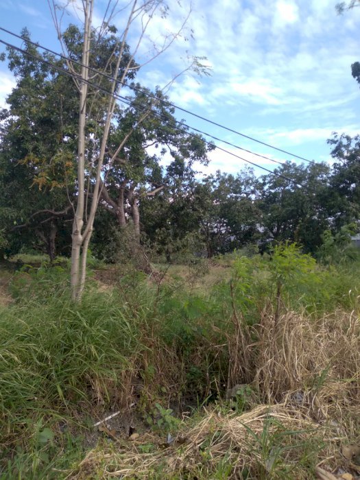 LAHAN STRATEGIS SURABAYA BARAT