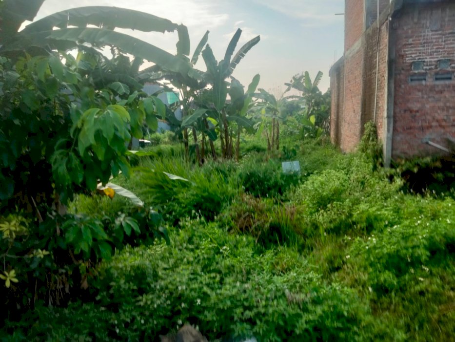 DIJUAL TANAH MURAH LOKASI STRATEGIS