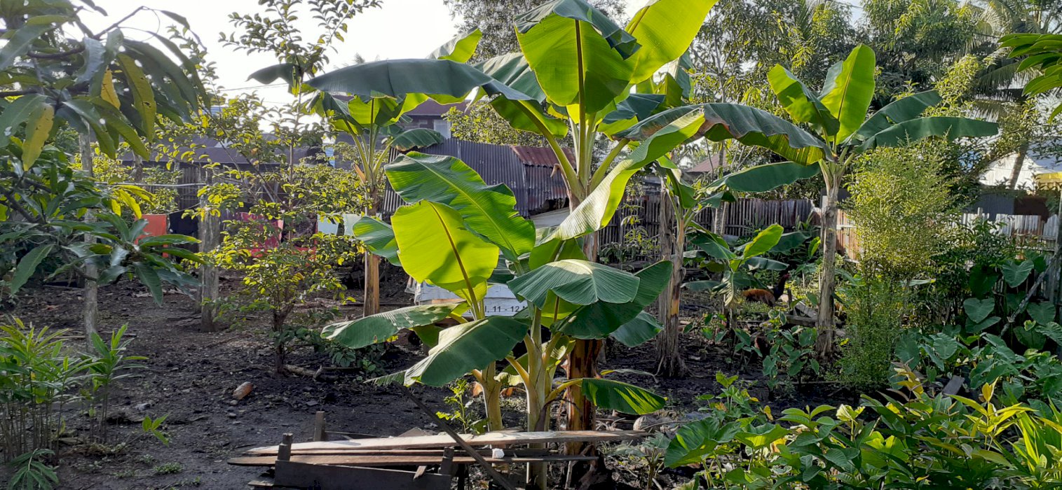 DIJUAL TANAH BESERTA RUMAH