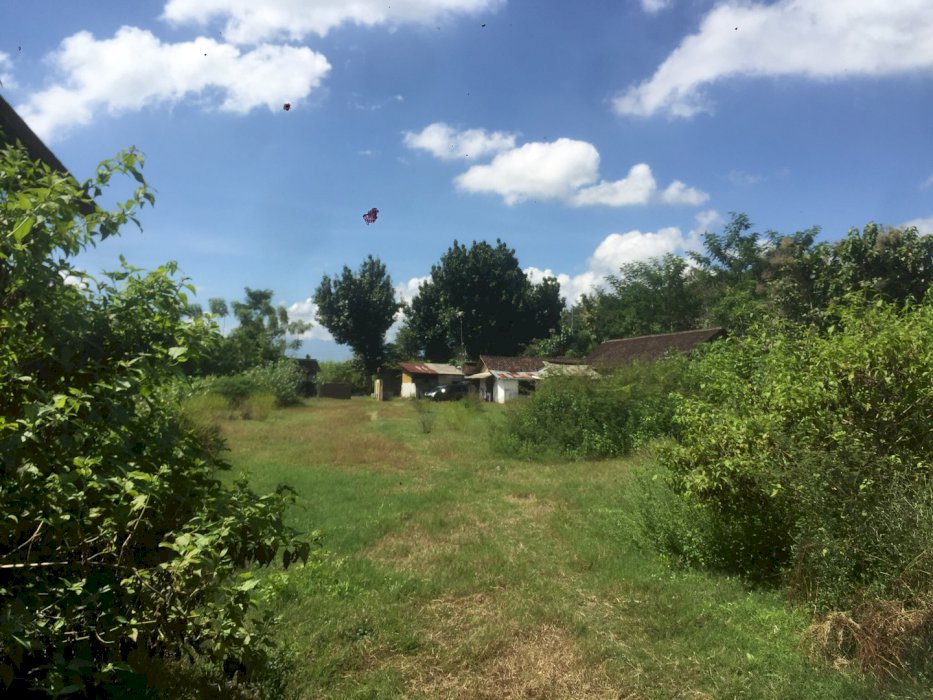 DIJUAL TANAH COCOK UNTUK PETERNAKAN-PABRIK