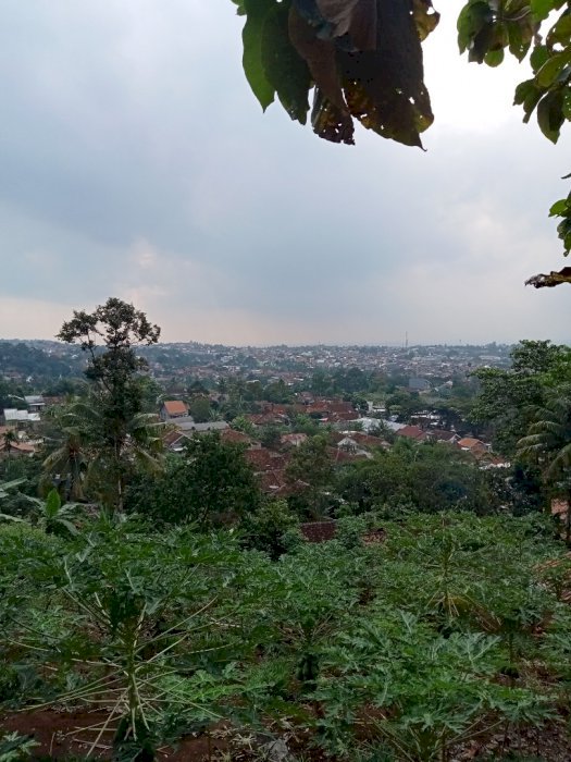 Tanah view kota suasana asri cocok untuk rumah bribadi atau villa