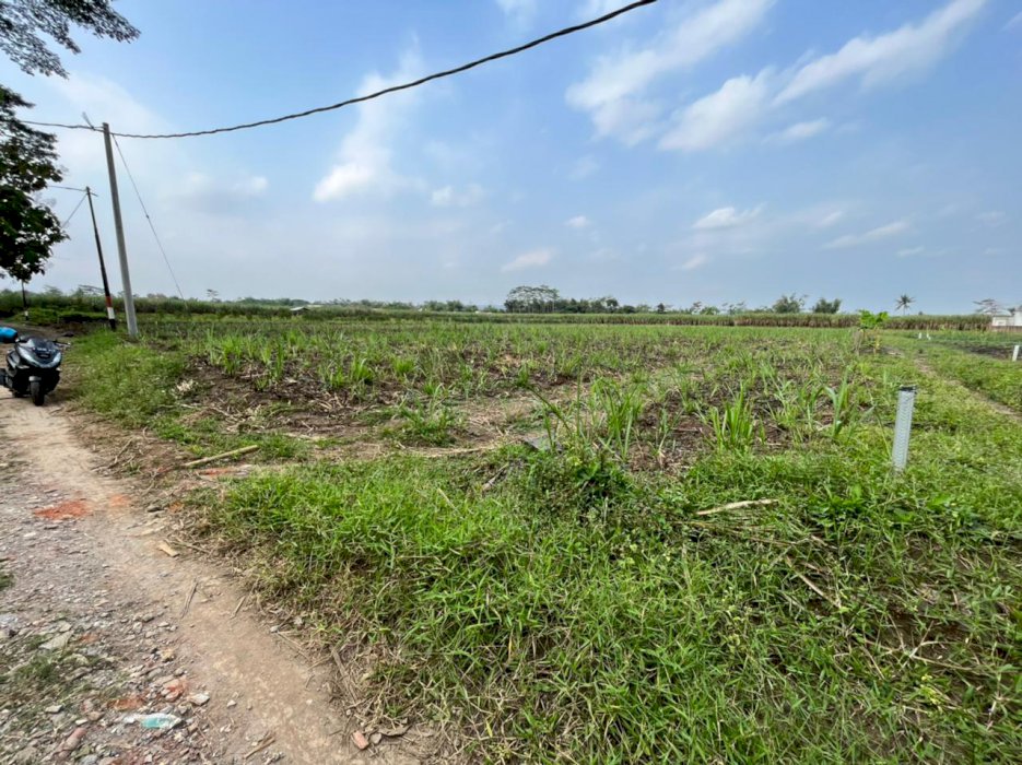 Tanah strategis sangat cocok untuk investasi