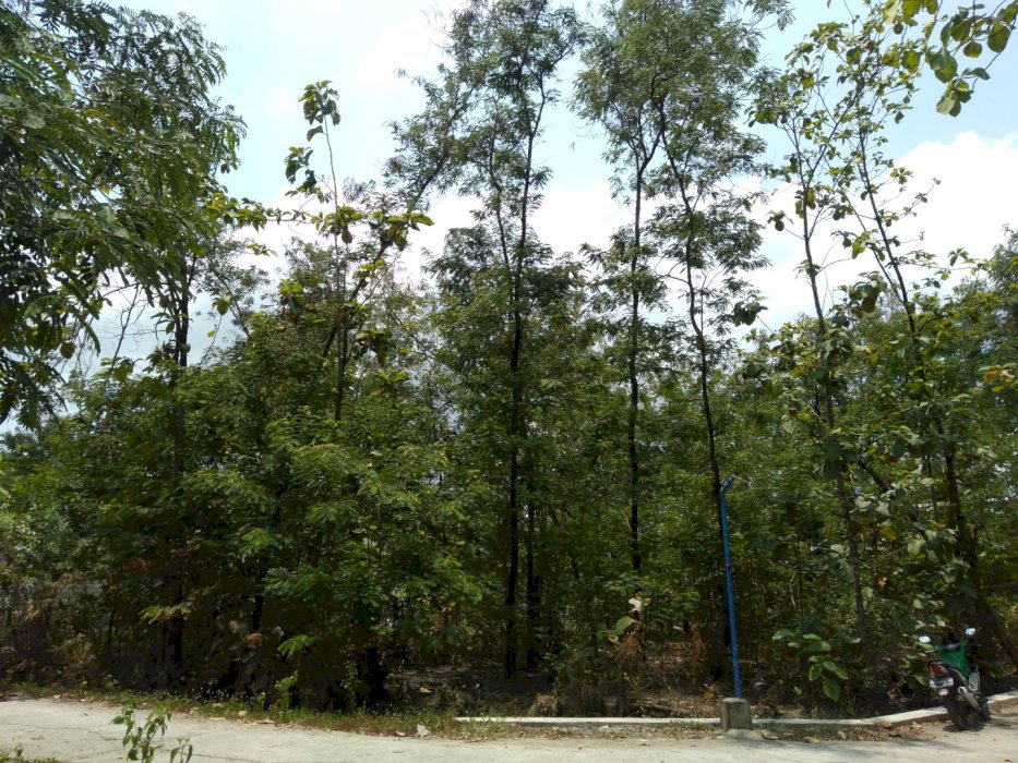 Jual Tanah Pekarangan (Hook)