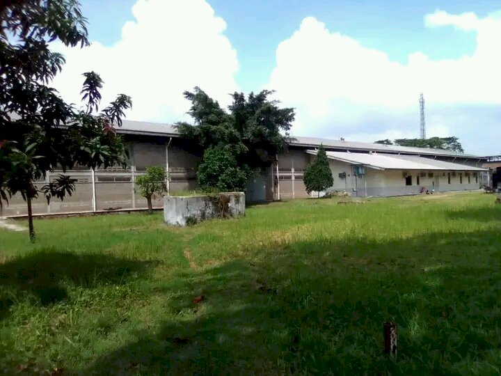 Tanah kosong di wilayah Jakarta timur