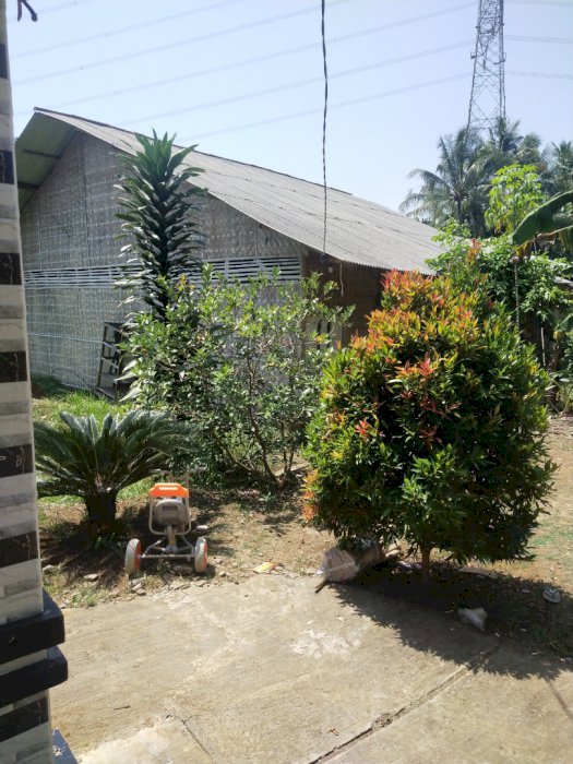 3 buah rumah satu bangunan bekas kubung jamur