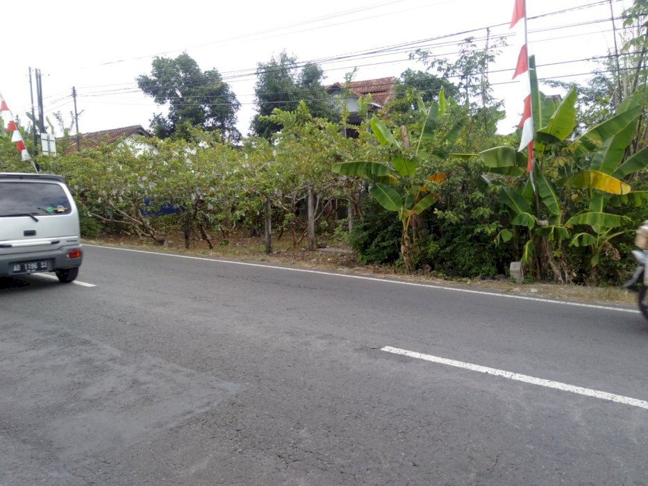 TANAH PINGGIR JALAN ASPAL UTAMA HOOK DUA MUKA DI BANTUL YOGYAKARTA