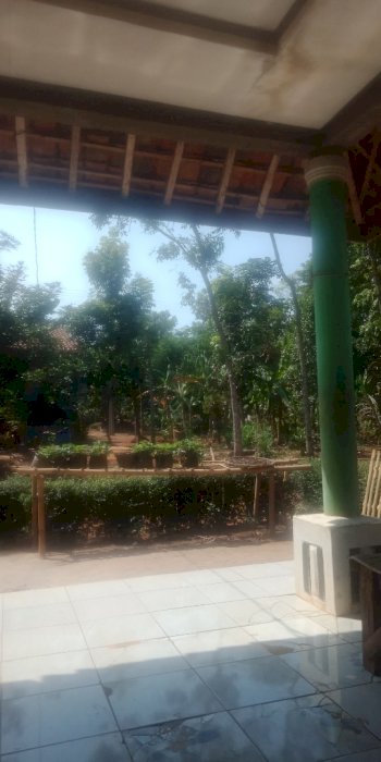 Jual tanah kebun.luas 3000 meter