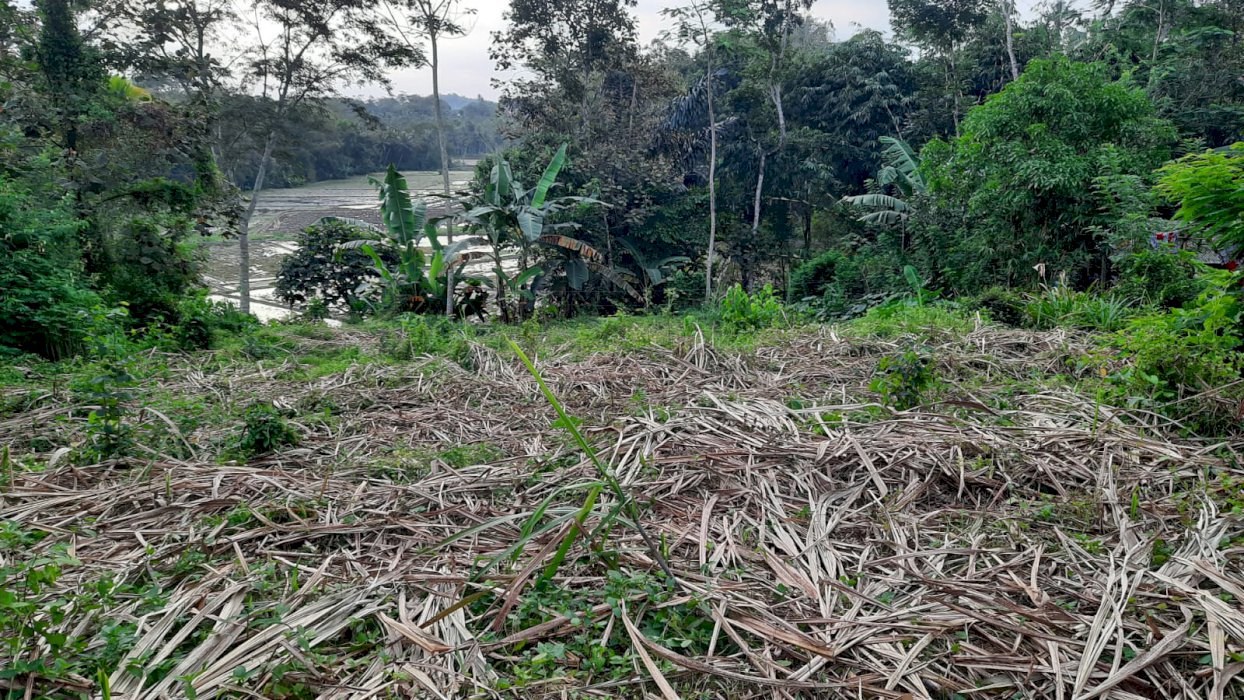 Tanah produktif dijual cepat