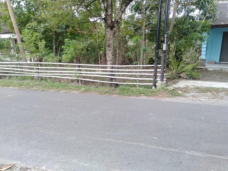 TANAH PEKARANGAN PINGGIR JL ASPAL DI SELATAN KAMPUR UMY KASIHAN BANTUL