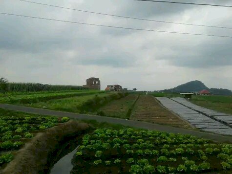 Jual tanah di batu malang