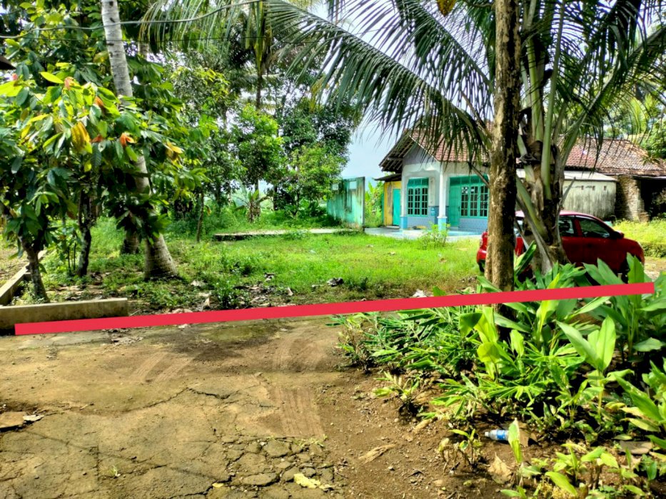 TANAH SUPER MURAH DI SLEMAN