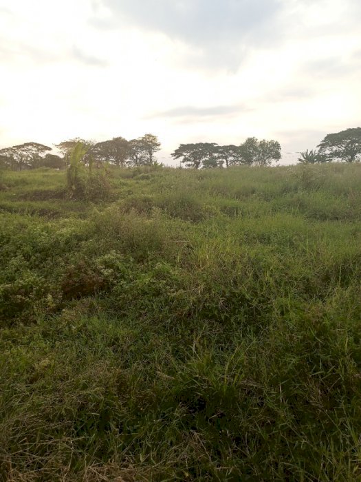 Dijual Tanah bekas sawah