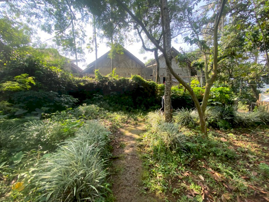 TANAH NANGKRING VIEW GUNUNG DIKELILINGI JALAN MOBIL, SUNGAI DAN KALI